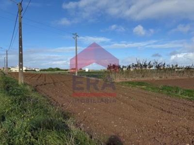 Acheter Terrain 2440 m2 Lourinha