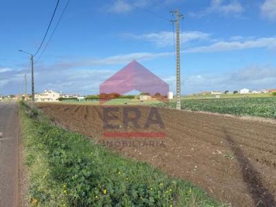 Acheter Terrain Lourinha rgion LISBOA