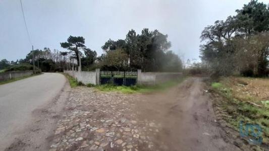 Vente Terrain Balazar ESTELA 13 au Portugal