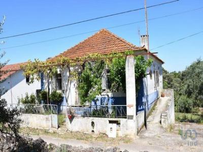 Vente Maison Alem-da-ribeira MADALENA-E-BESELGA 14 au Portugal