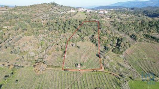 Annonce Vente Terrain Penela