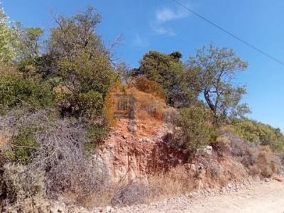 Acheter Terrain Tavira rgion FARO