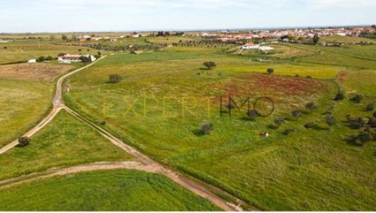 Vente Terrain Reguengos-de-monsaraz CAMPO-E-CAMPINHO 07