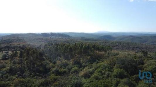 Annonce Vente Terrain Ferreira-do-zezere