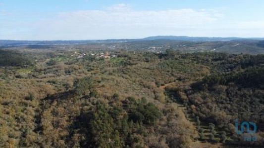 Acheter Terrain 5380 m2 Ferreira-do-zezere