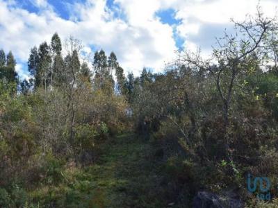 Annonce Vente Terrain Ferreira-do-zezere