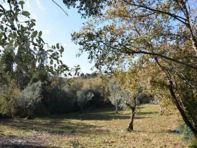 Annonce Vente Terrain Ferreira-do-zezere