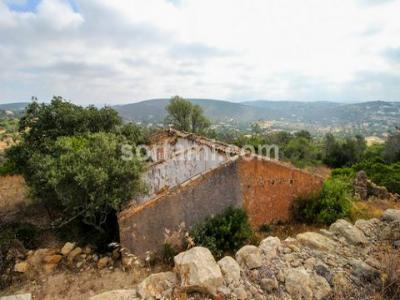 Annonce Vente Terrain Loule