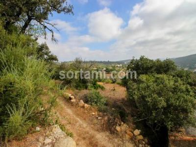 Acheter Terrain 121 m2 Loule