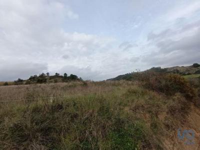 Acheter Terrain 14040 m2 Alenquer