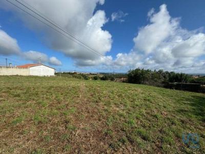 Acheter Terrain 510 m2 Alcobaca