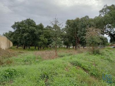 Annonce Vente Terrain Rio-maior