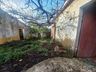 Annonce Vente Maison Cadaval