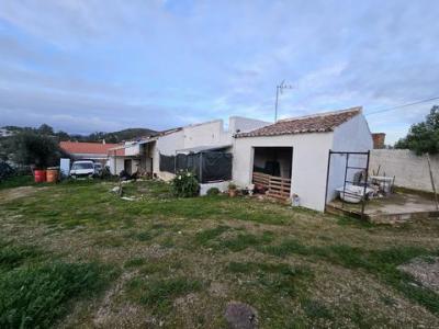 Acheter Local industriel 208 m2 Sao-bras-de-alportel