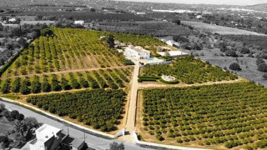 Acheter Maison Olhao rgion FARO