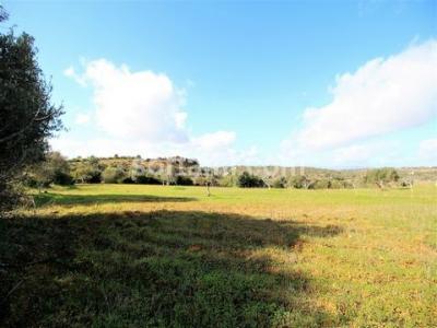 Annonce Vente Terrain Silves