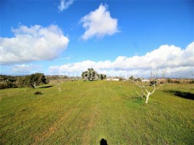 Acheter Terrain Silves