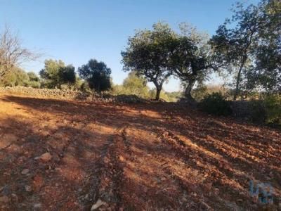 Acheter Terrain 10670 m2 Faro