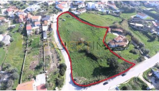 Annonce Vente Terrain Leiria