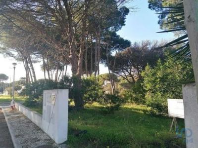 Annonce Vente Terrain Sesimbra