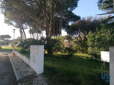 Acheter Terrain 363 m2 Sesimbra