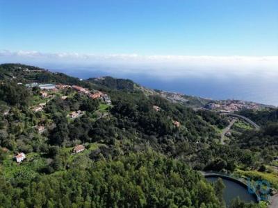 Acheter Terrain Canico rgion MADEIRA