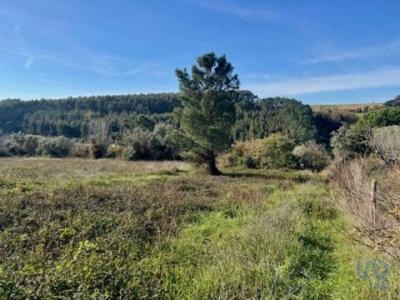 Annonce Vente Terrain Alenquer