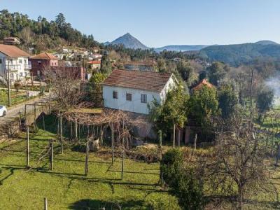 Annonce Vente Maison Celorico-de-basto