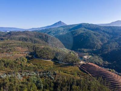 Vente Maison Celorico-de-basto  03 au Portugal