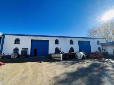 Acheter Local commercial 845 m2 Beja