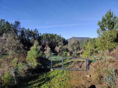 Vente Terrain Serta CERNACHE-DO-BONJARDIM,-NESPERAL-E-PALHAIS 05