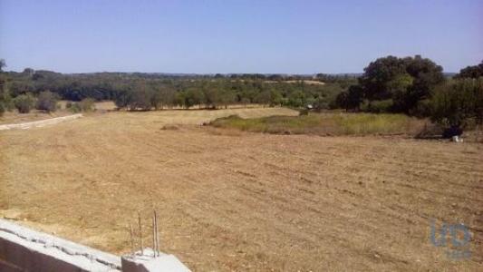 Annonce Vente Terrain Alem-da-ribeira