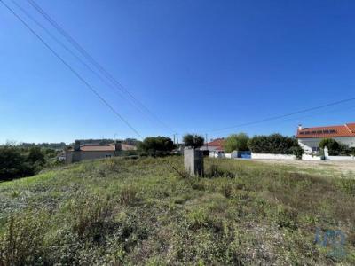 Annonce Vente Terrain Alem-da-ribeira