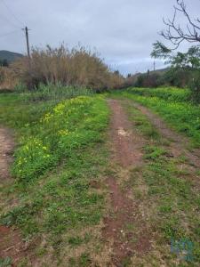 Vente Terrain Silves SILVES 08 au Portugal