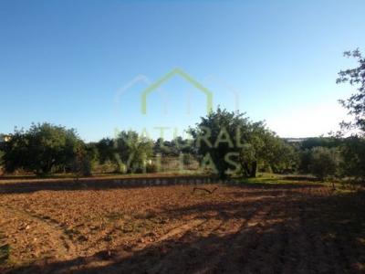 Annonce Vente Terrain Faro