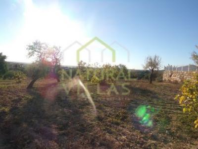 Acheter Terrain 46 m2 Faro