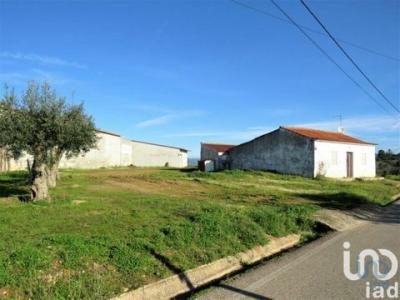 Annonce Vente Maison Tomar