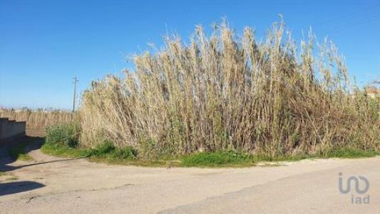 Vente Terrain Peniche FERREL 10 au Portugal