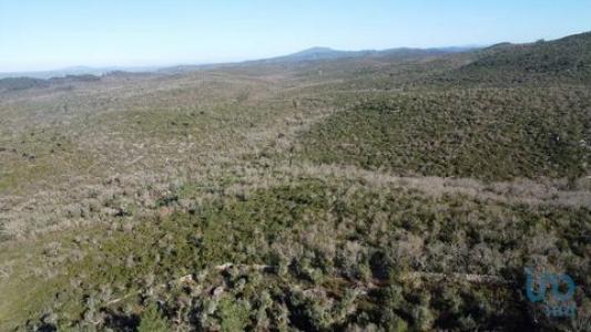 Acheter Terrain Abades rgion SANTAREM