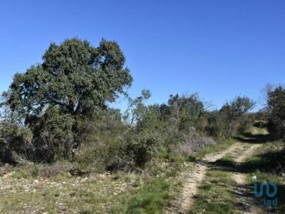 Annonce Vente Terrain Ferreira-do-zezere