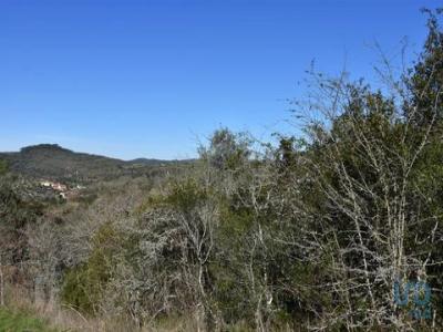 Acheter Terrain 2000 m2 Ferreira-do-zezere