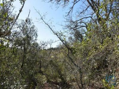 Acheter Terrain 800 m2 Ferreira-do-zezere