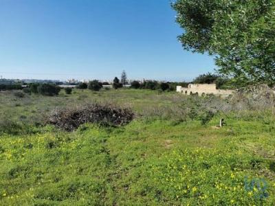 Annonce Vente Terrain Faro