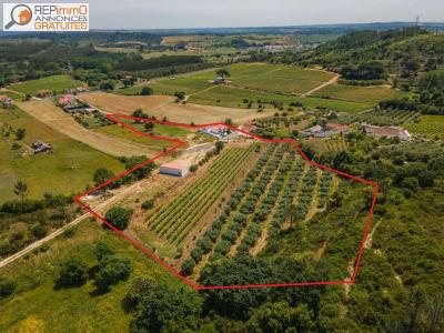 Annonce Vente Domaine agricole Alcoentre