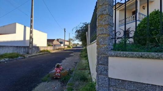 Annonce Location 6 pices Maison Sintra