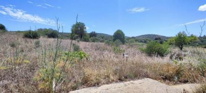 Acheter Terrain 990 m2 Loule