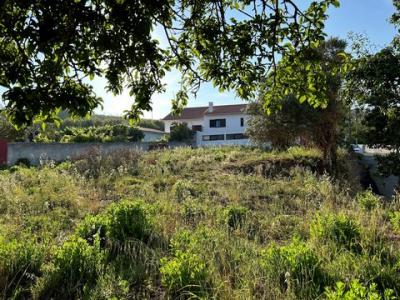 Annonce Vente Terrain Torres-vedras