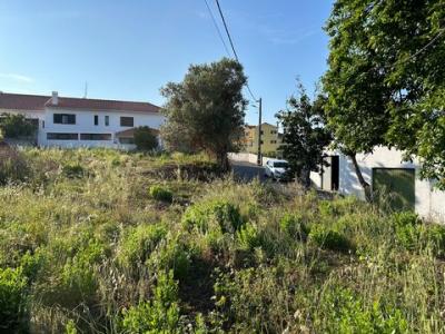 Acheter Terrain 728 m2 Torres-vedras