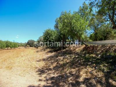 Vente Terrain Faro  08 au Portugal