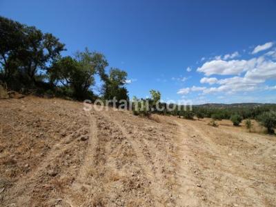 Vente Terrain Faro  08 au Portugal